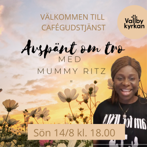 Blå Pool Foto & Rosa Pool Fest Födelsedag Inbjudan (17)