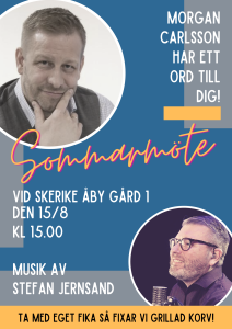 Pink Brush Stokes Summer Party Flyer (5)