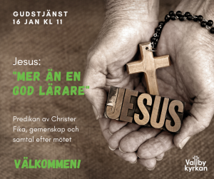 Vit med Blå Snöflingor Vinter Erbjudande Facebook Inlägg (3)